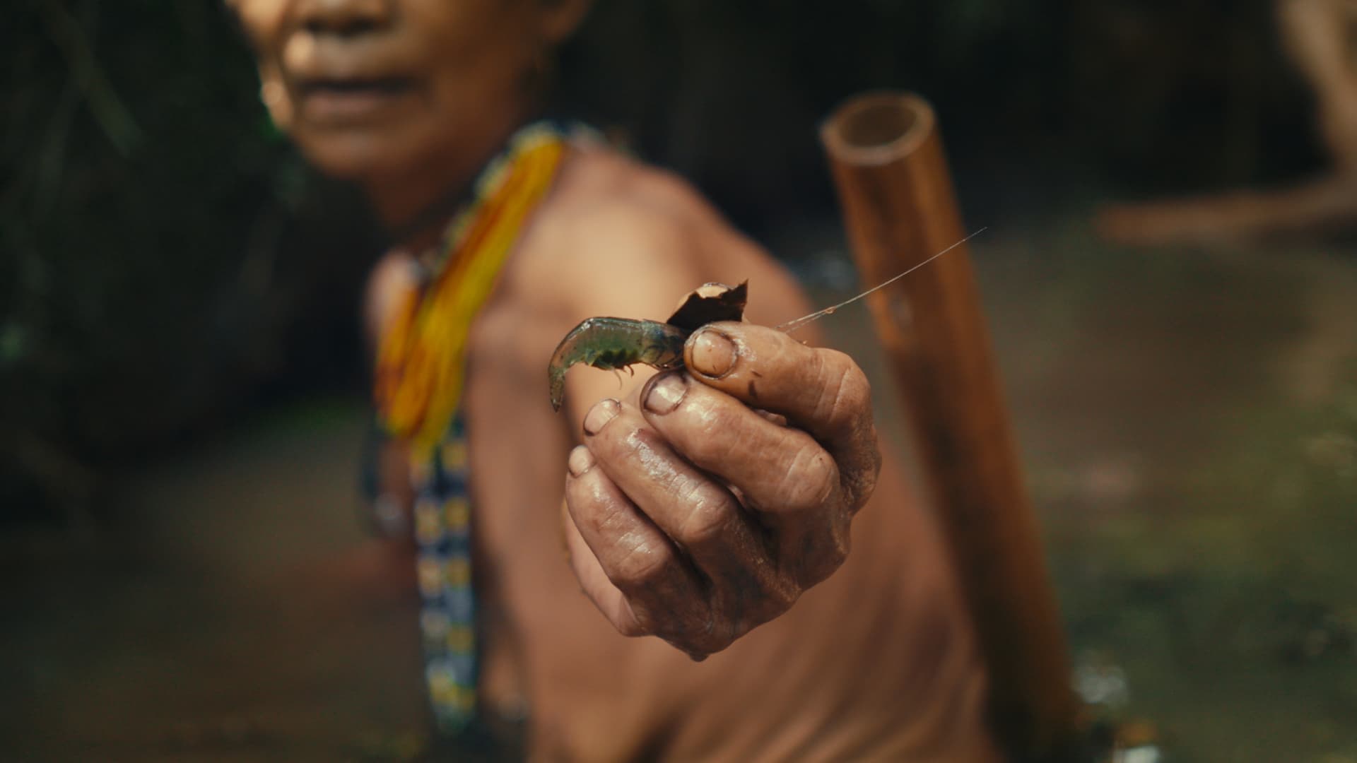 Expedición de Utopía Project en territorio Mentawai